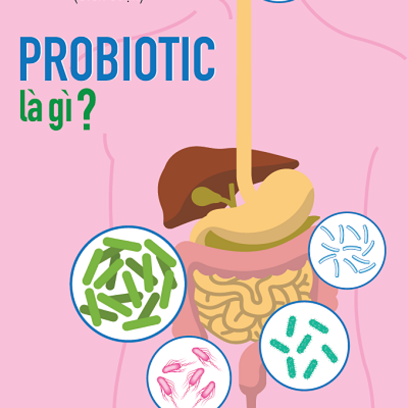 Probiotic Là Gì?