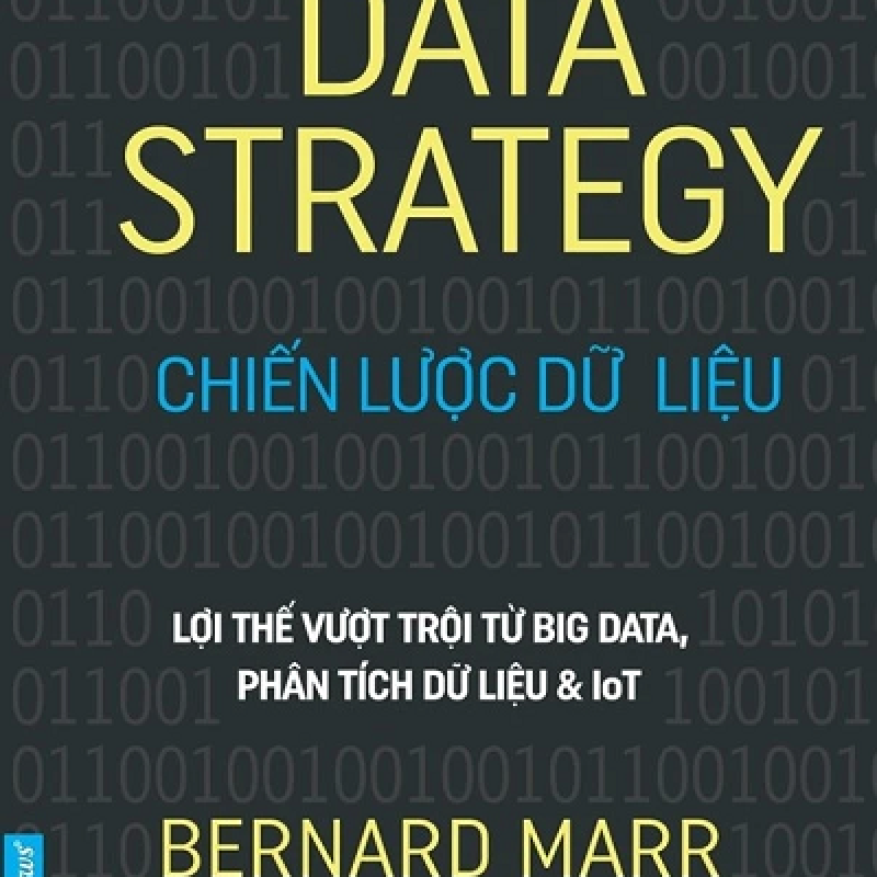 Data Strategy - Chiến Lược Dữ Liệu