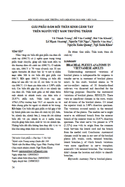 Giải phẫu đám rối thần kinh cánh tay trên người việt nam trưởng thành