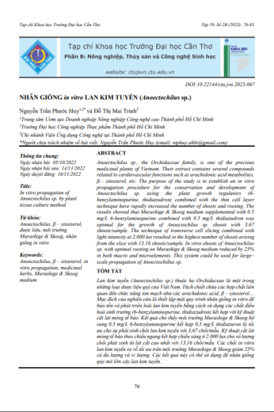 Nhân giống in vitro lan kim tuyến (Anoectochilus sp.)