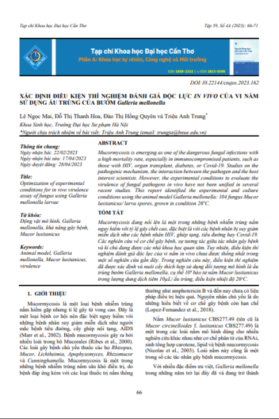 Xác định điều kiện thí nghiệm đánh giá độc lực in vivo của vi nấm sử dụng ấu trùng của bướm Galleria mellonella