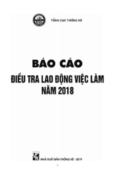 Báo cáo Điều tra Lao động việc làm năm 2018