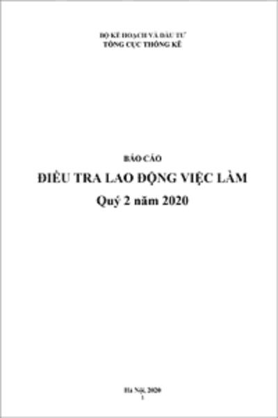 Báo cáo Lao động việc làm Quý 2 năm 2020