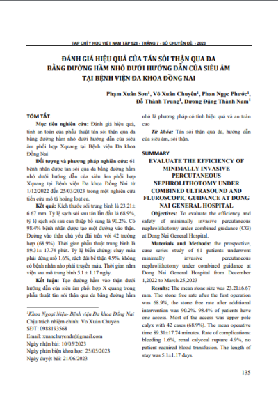 Đánh giá hiệu quả của tán sỏi thận qua da bằng đường hầm nhỏ dưới hướng dẫn của siêu âm tại Bệnh viện Đa khoa Đồng Nai