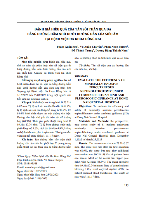 Đánh giá hiệu quả của tán sỏi thận qua da bằng đường hầm nhỏ dưới hướng dẫn của siêu âm tại Bệnh viện Đa khoa Đồng Nai