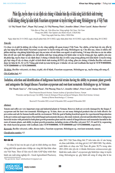 Phân lập, tuyển chọn và xác định các chủng vi khuẩn bản địa có khả năng kích thích sinh trưởng và đối kháng chống lại nấm bệnh Fusarium oxysporum và tuyến trùng nốt sưng Meloidogyne sp.